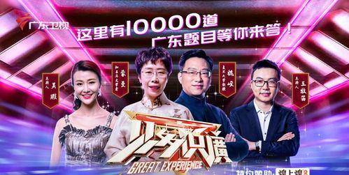 二辰爆料兄弟视频播放,视频播放背后的精彩故事  第1张